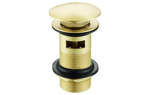 Mushroom Click Clack Basin Waste 1 1/4'' (Slotted) - Brushed Brass