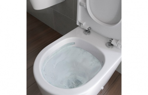 Spa Rimless Back To Wall Wc & Soft Close Seat